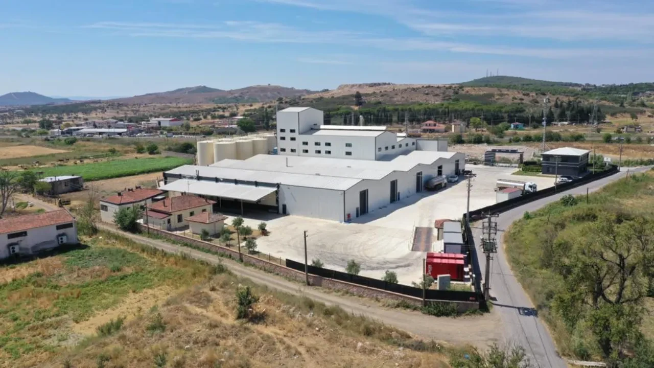 Aivalos Ayvalık zeytinyağını küresel pazara taşıyor