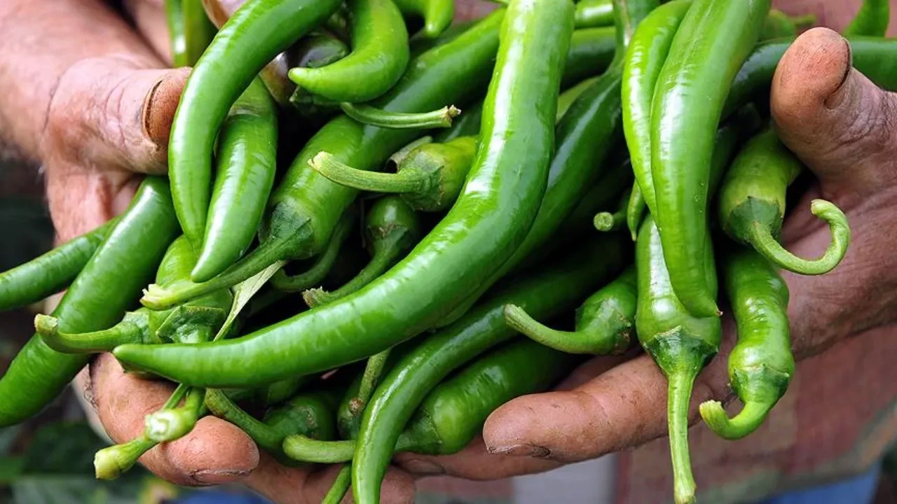 Fahiş fiyatla biber satan markete şok! Ticaret Bakanlığı 1 milyon 806 bin 170 lira ceza kesti