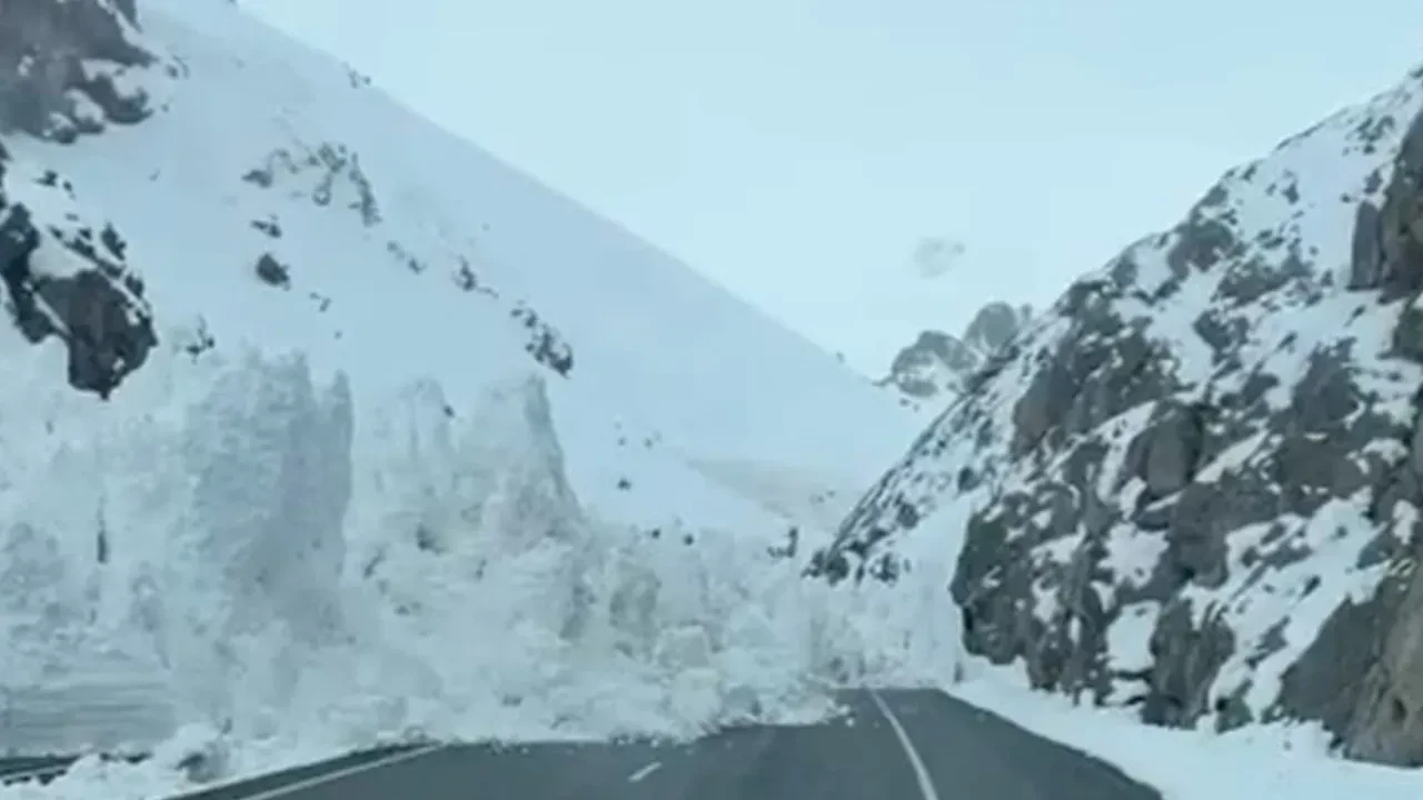 Van-Hakkari karayoluna çığ düştü! Yol çift taraflı trafiğe kapatıldı