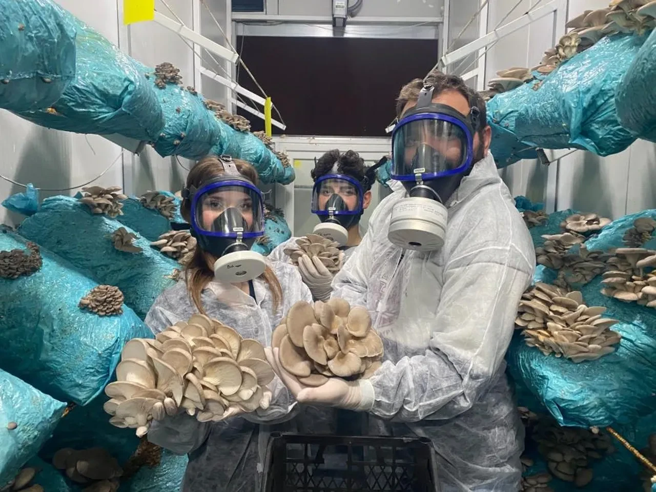 Avukattı hobi olarak başladı! Günde 1 tona yakın ürün elde ediyor