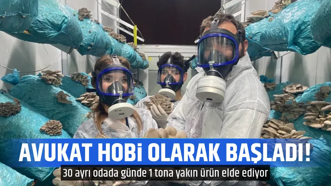 AVUKAT HOBİ OLARAK BAŞLADI!