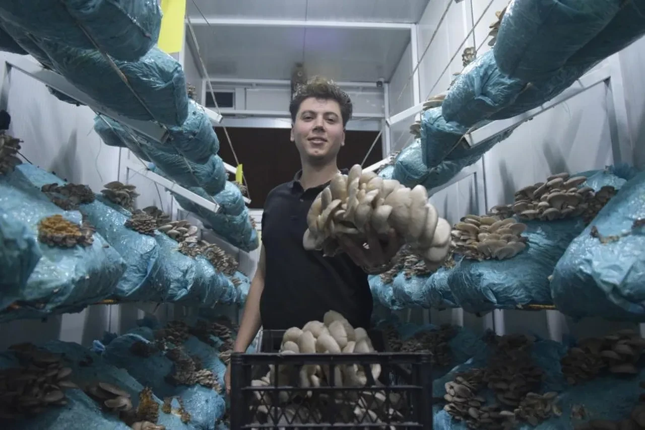 Avukattı hobi olarak başladı! Günde 1 tona yakın ürün elde ediyor