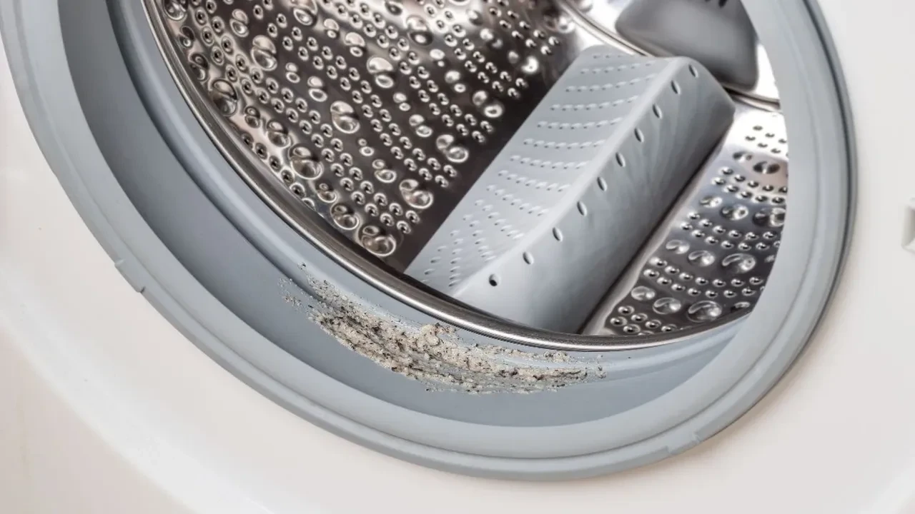 çamaşır makinesi lastik 