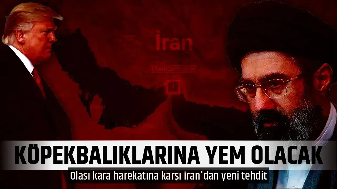 KÖPEKBALIKLARINA YEM OLACAK