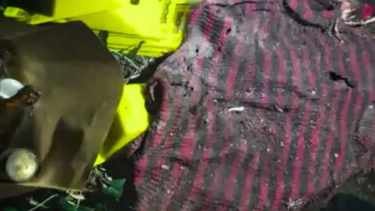 10 yıllık cinayet aydınlandı! İzmaritler gerçeği ortaya çıkardı