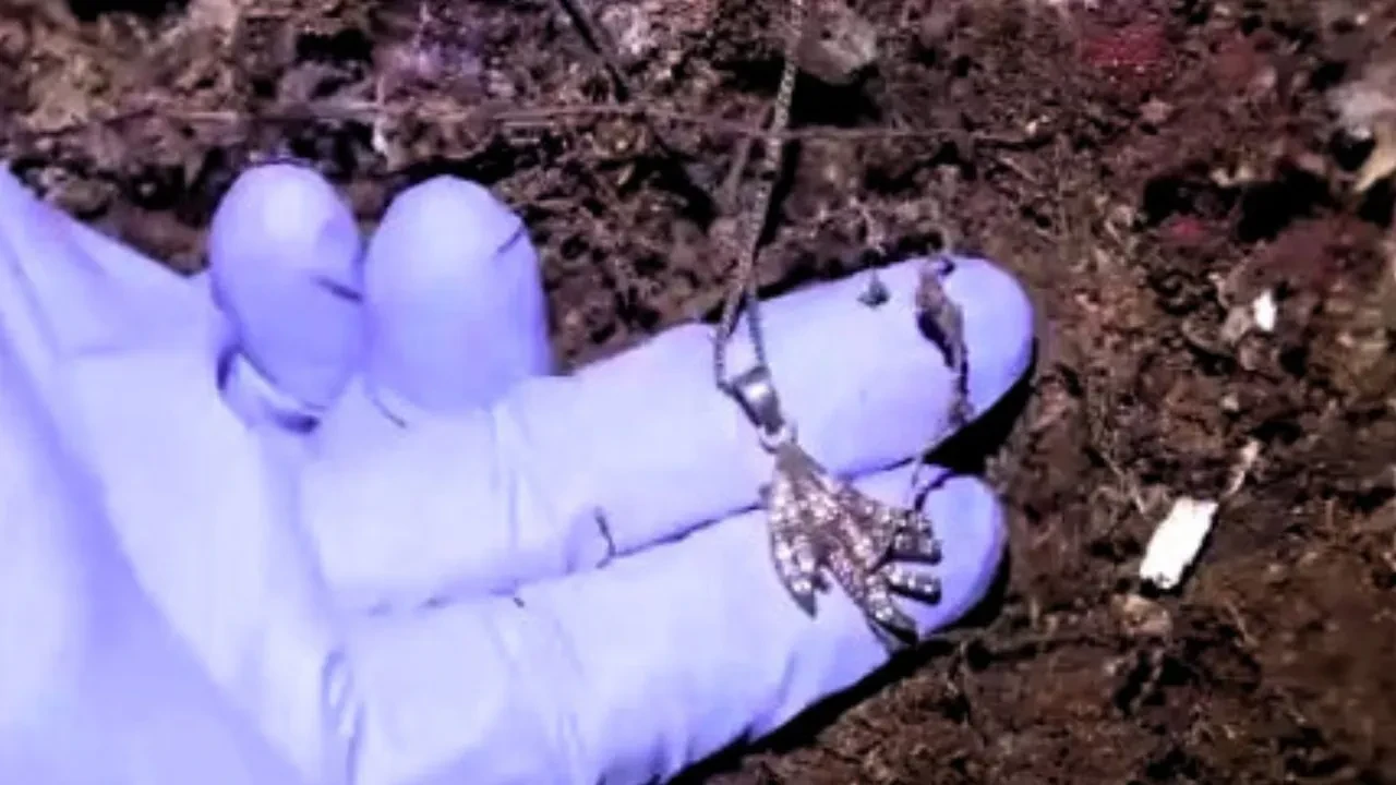 10 yıllık cinayet aydınlandı! İzmaritler gerçeği ortaya çıkardı