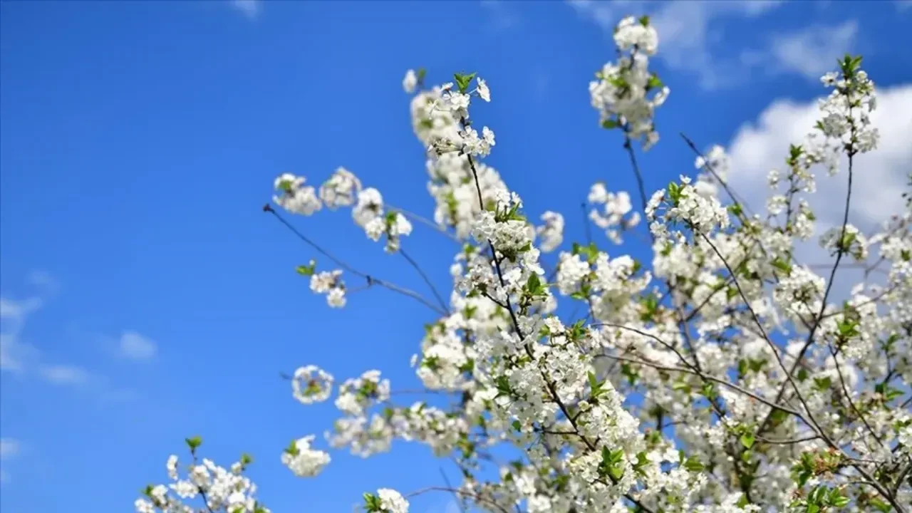 3. cemre düşme tarihi 2026! Üçüncü cemre ne zaman düşecek, toprağa ne zaman düşer?