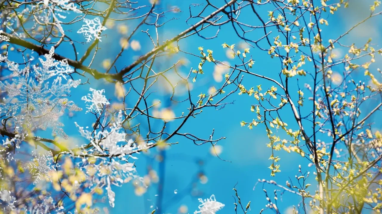 3. cemre düşme tarihi 2026! Üçüncü cemre ne zaman düşecek, toprağa ne zaman düşer?