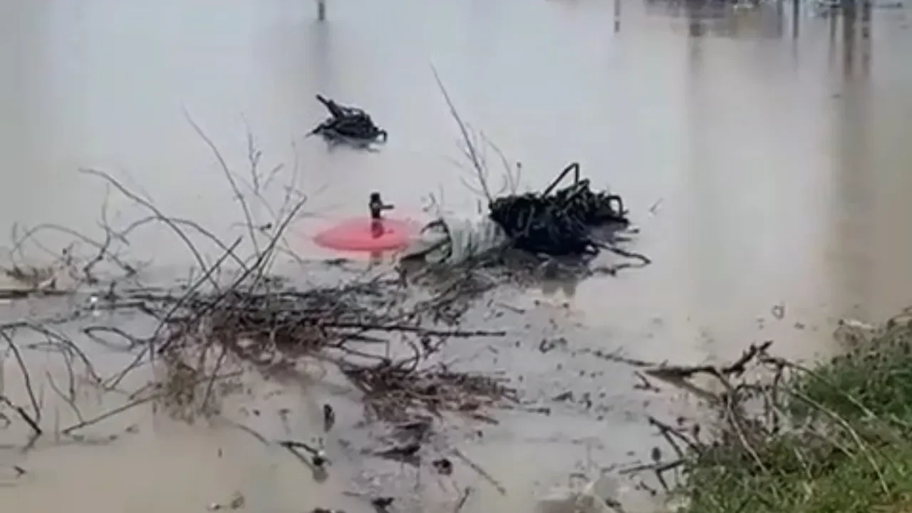 Bursa sağanak yağışa teslim! Tarlalar göle döndü, hayvanlar mahsur kaldı