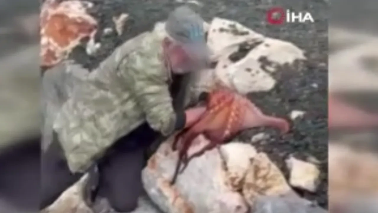 Dev ahtapotu çıplak elleriyle yakaladı! Görenler gözlerine inanamadı