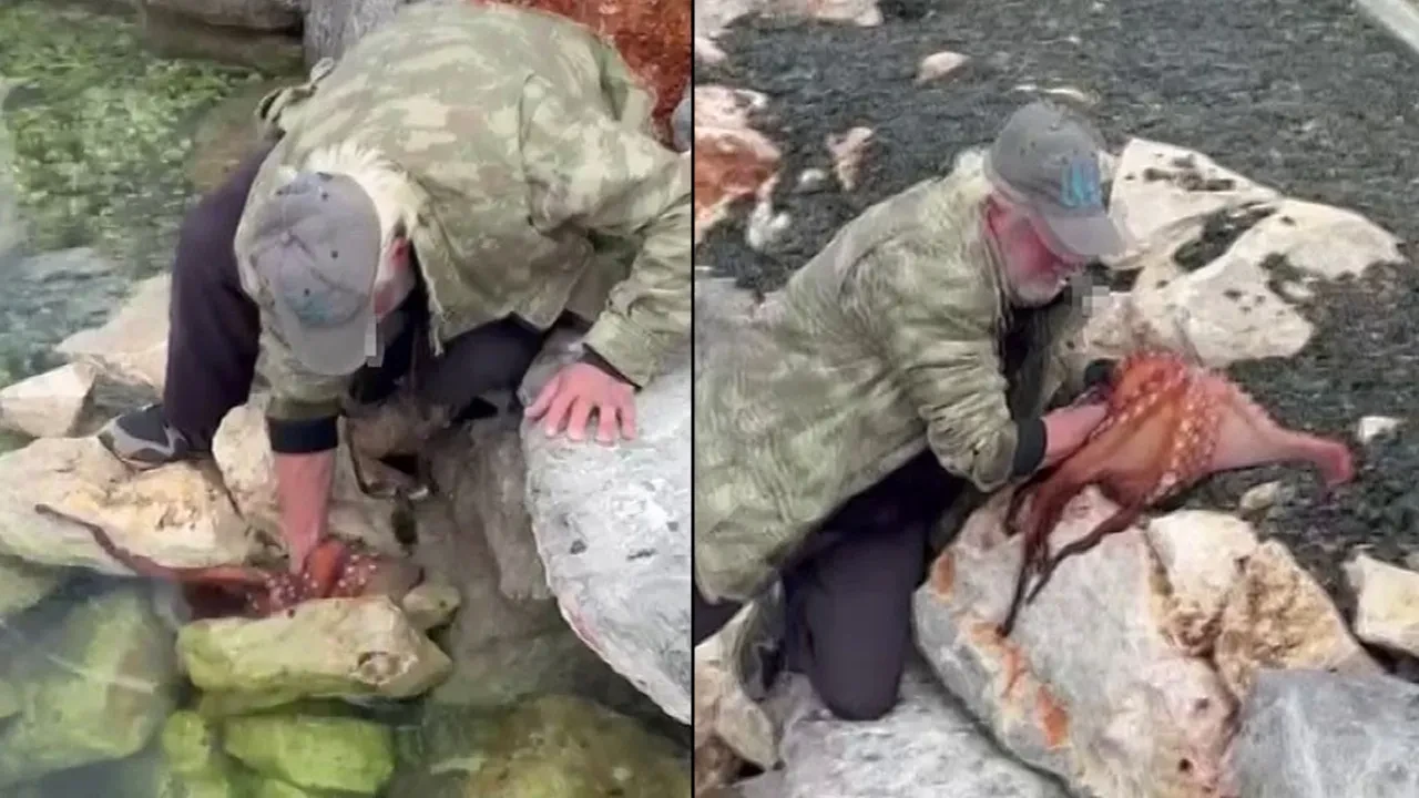 Dev ahtapotu elleriyle avladı, o anlar sosyal medyada viral oldu
