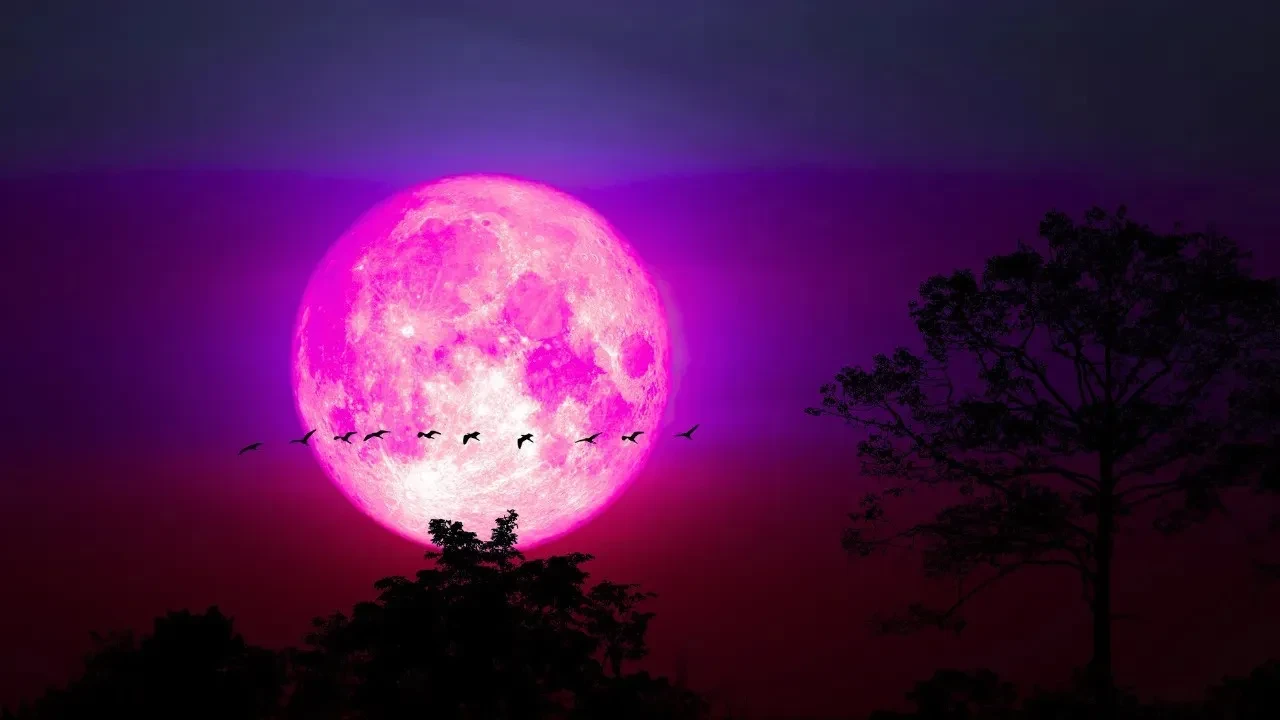 Pembe Dolunay Türkiye'den görülecek mi? Pembe Dolunay ne zaman ve kimleri etkileyecek?