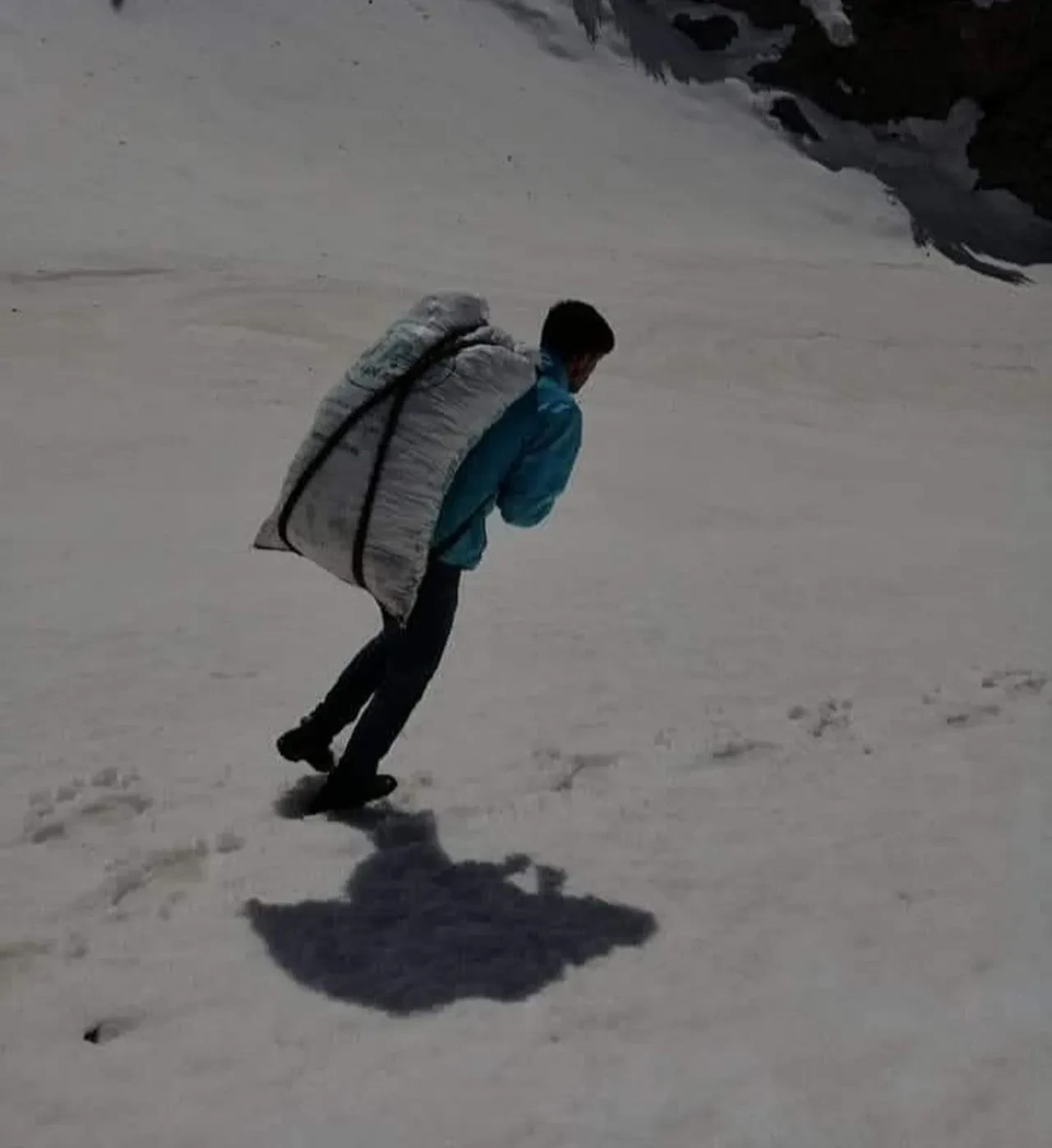 Dağlarda kendi kendine yetişiyor! Günde 21 bin lira kazandırıyor