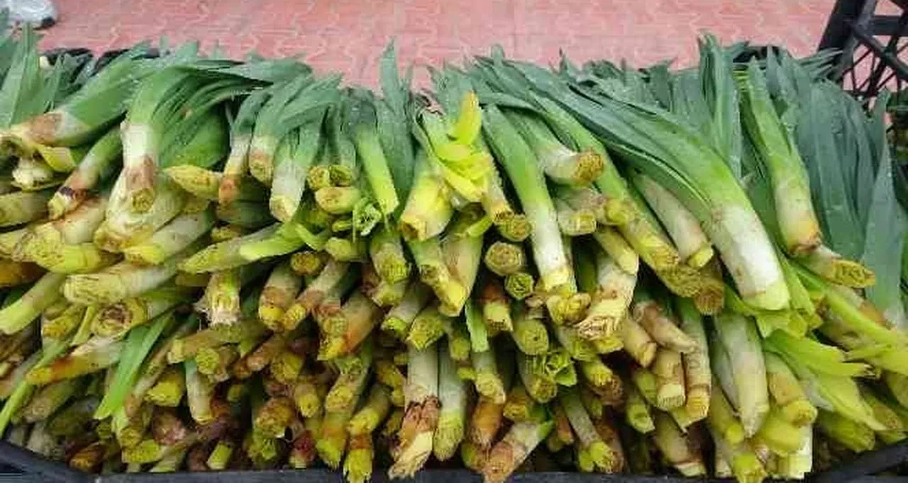 Dağlarda kendi kendine yetişiyor! Günde 21 bin lira kazandırıyor