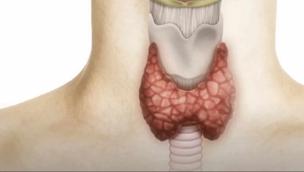 Halsizlik, çarpıntı ve kilo değişimi... Uzman isim Tiroit hastalığının temel belirtilerini açıkladı!