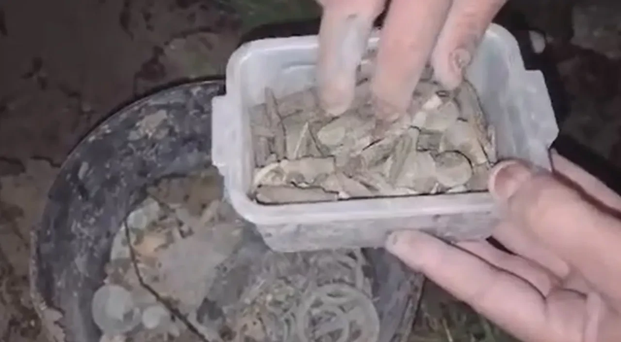 Hobi bahçesinden tarih fışkırdı! Yüzlercesi dev operasyonla ele geçirildi: Değeri 30 milyon lira