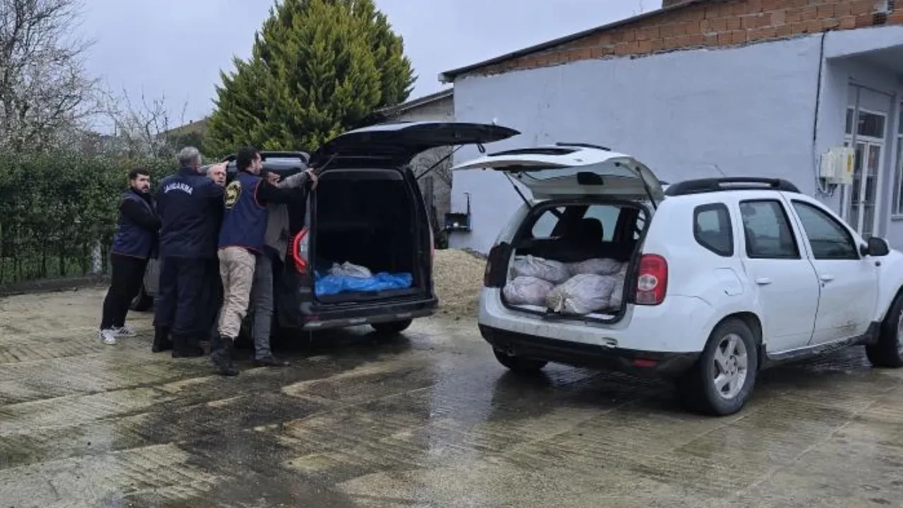 İstanbul'da satışa hazır halde 306 kilo at eti ele geçirildi