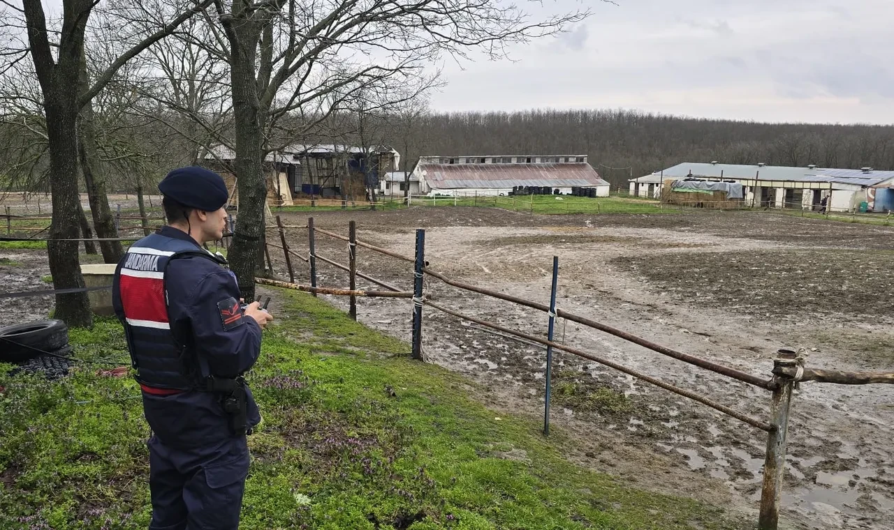 İstanbul'da satışa hazır halde 306 kilo at eti ele geçirildi