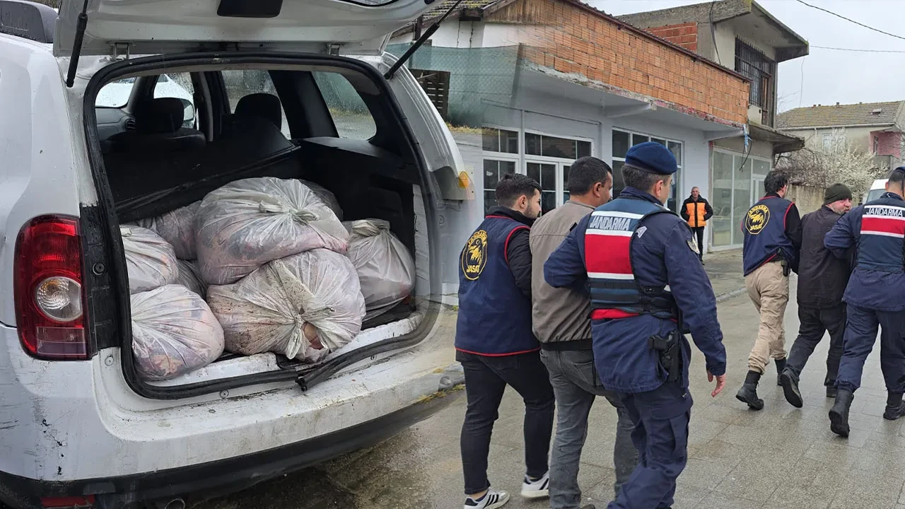 İstanbul'da satışa hazır halde 306 kilo at eti ele geçirildi