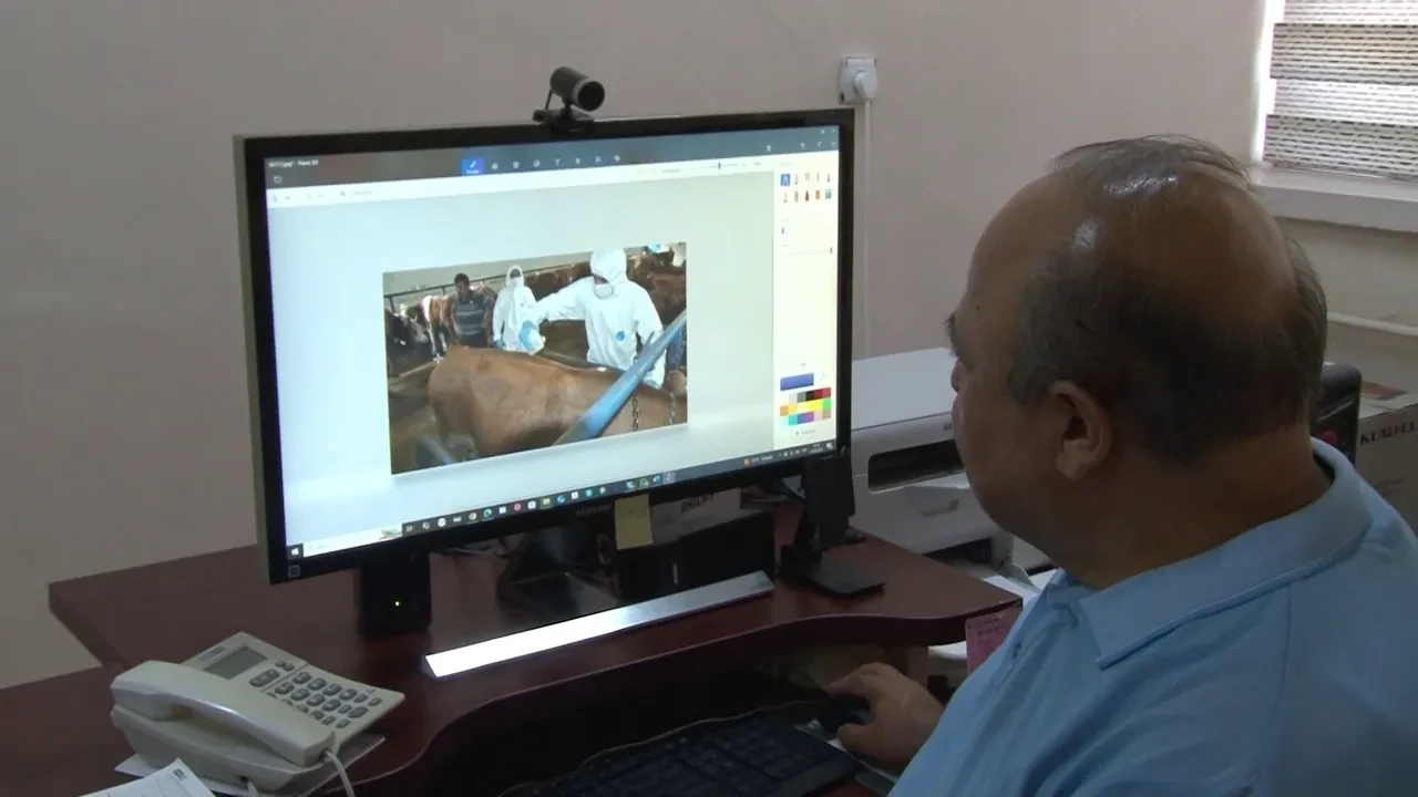 Kene kabusu daha güçlü geri dönüyor! Uzman isim uyardı: Bu yaz daha fazla olacak