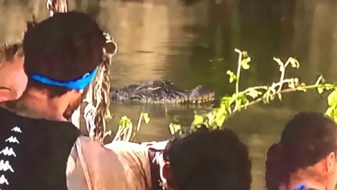 Survivor 2026’da Timsah şoku! O görüntüler izleyicileri ikiye böldü!