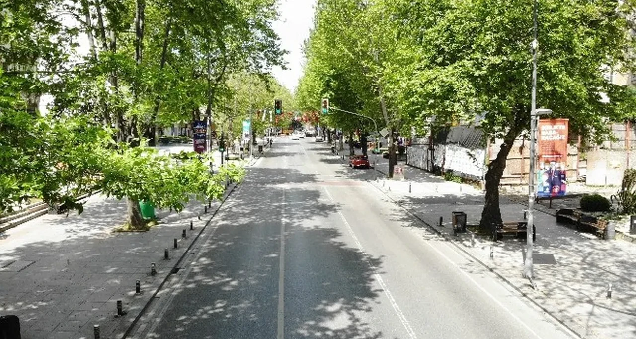 Türkiye’nin en çok ziyaret edilen caddesi belli oldu! Tüm zamanların en yüksek ziyaretçi sayısına ulaştı!