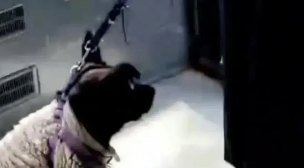 İstanbul’da toplu taşımada dehşet saçmıştı: Kendini savcı olarak tanıtıp yolcuyu tehdit eden kadın hakkında iddianame hazırlandı