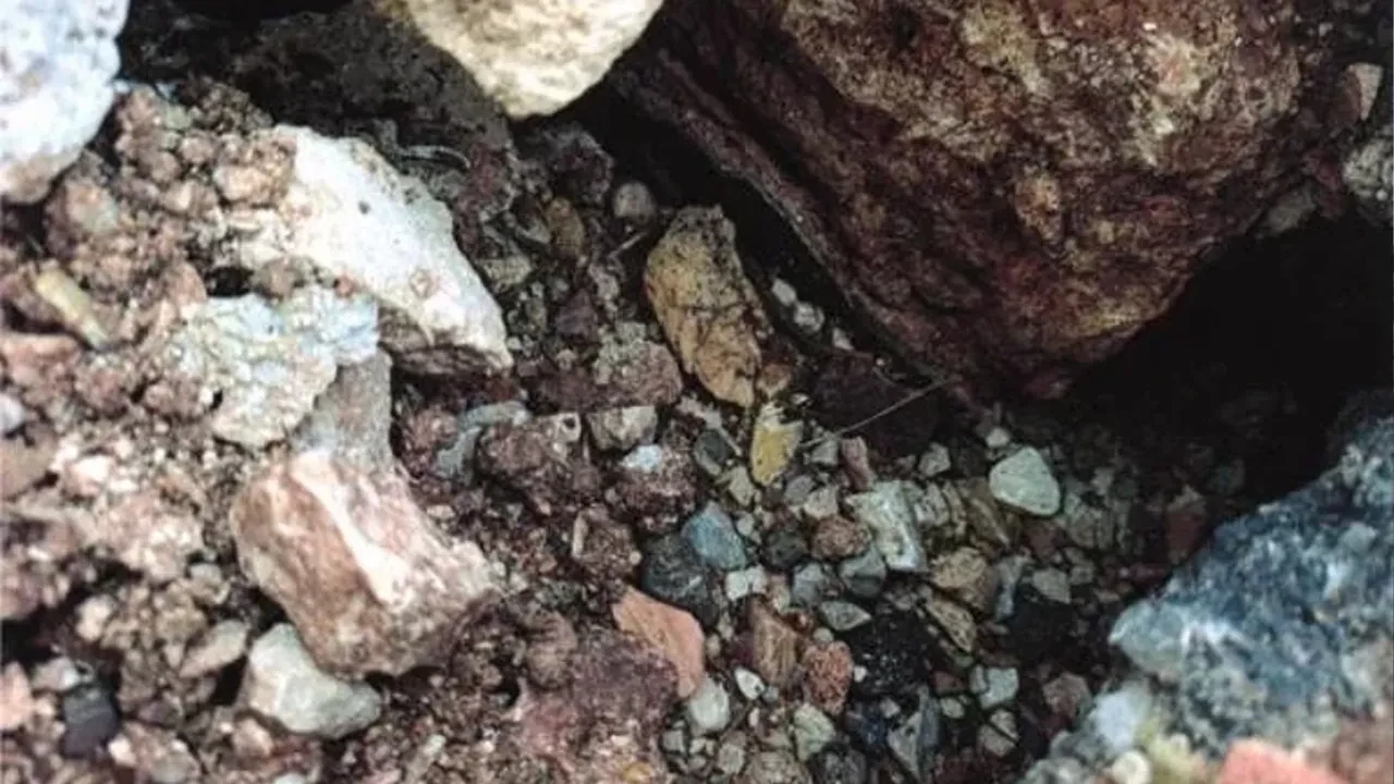 Roma dönemine ait tarihi eser kepçe ile yok edildi! Tepki çeken yıkıma suç duyurusu