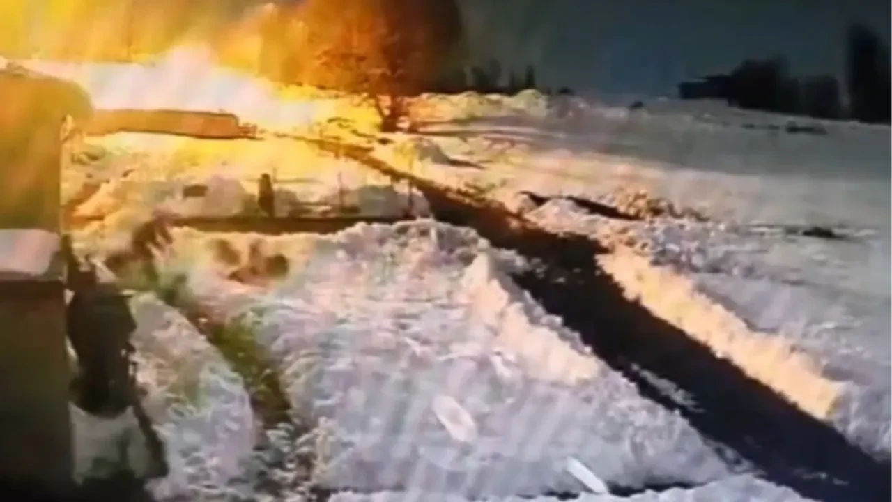 Ahıra giren kurtları sopayla kovaladı! İlginç anlar kamerada