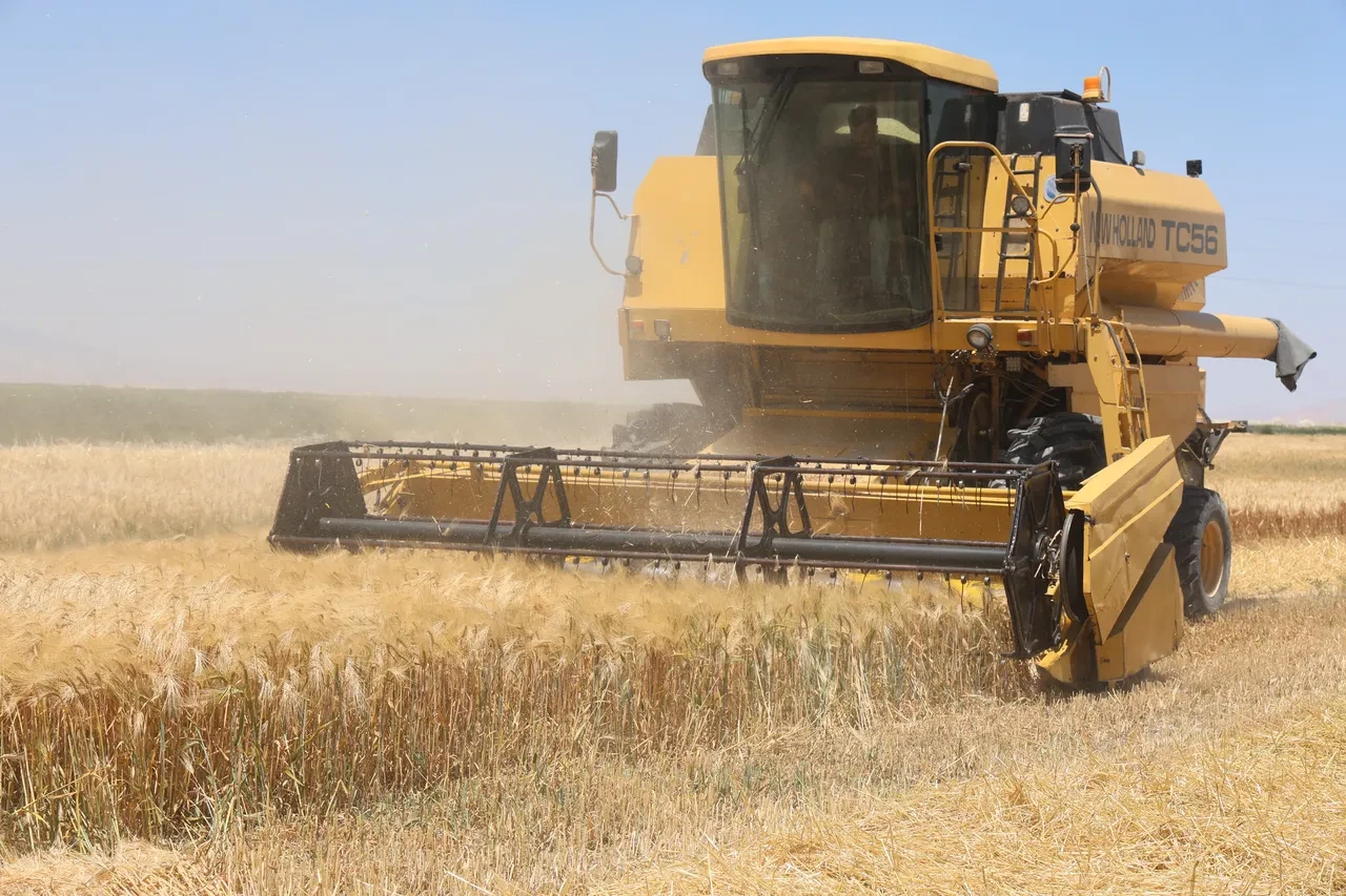 Tarım işçisi asgari ücretliyi katladı! Bu ilde günlük ücret 3 bin lirayı geçti