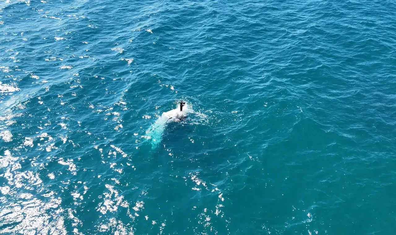 Antalya'da balıkçı teknesi battı! Denizde can pazarı yaşandı: 3 kişi son anda kurtuldu