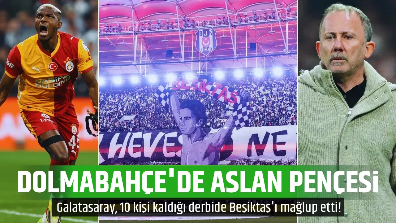 DOLMABAHÇE'DE ASLAN PENÇESİ