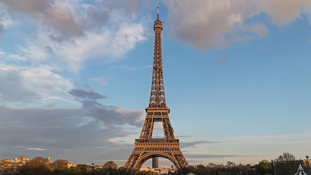 Ahtapotların 3 kalbi, muzların radyasyon yayması... Okudukça ufkunuzu iki katına çıkaracak dünyanın en ilginç bilgileri