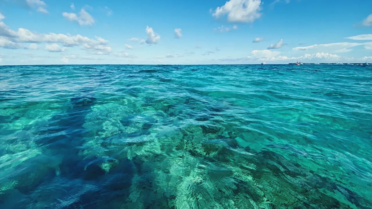 Ahtapotların 3 kalbi, muzların radyasyon yayması... Okudukça ufkunuzu iki katına çıkaracak dünyanın en ilginç bilgileri