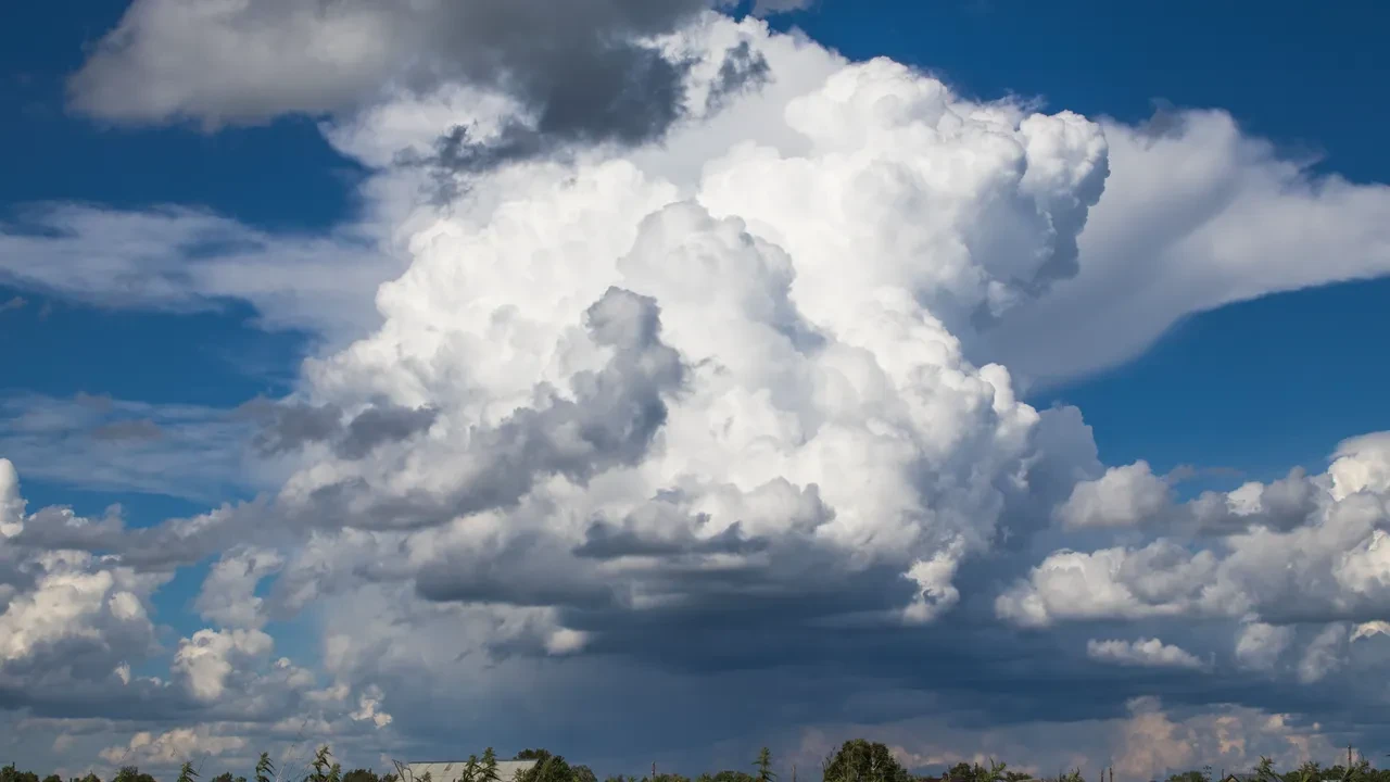 Ahtapotların 3 kalbi, muzların radyasyon yayması... Okudukça ufkunuzu iki katına çıkaracak dünyanın en ilginç bilgileri