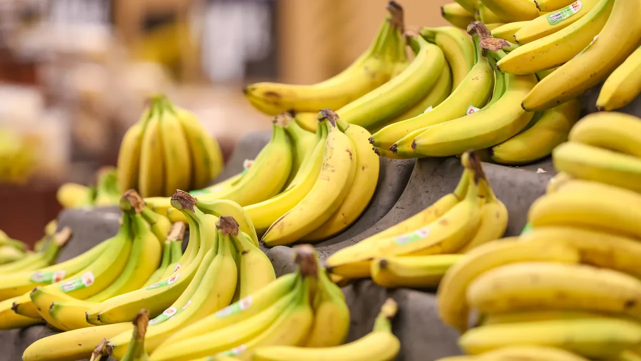 Ahtapotların 3 kalbi, muzların radyasyon yayması... Okudukça ufkunuzu iki katına çıkaracak dünyanın en ilginç bilgileri