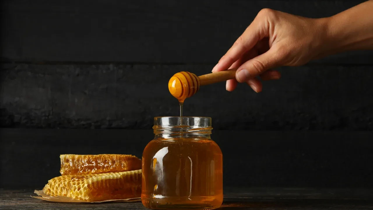 Ahtapotların 3 kalbi, muzların radyasyon yayması... Okudukça ufkunuzu iki katına çıkaracak dünyanın en ilginç bilgileri