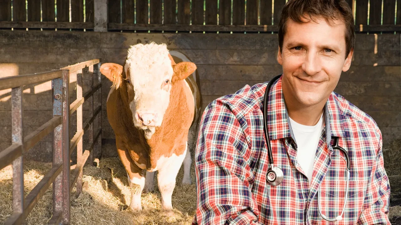 Dünyada böyle meslekler de varmış! Duyduğunuzda yok artık diyeceğiniz dünyanın en ilginç meslekleri