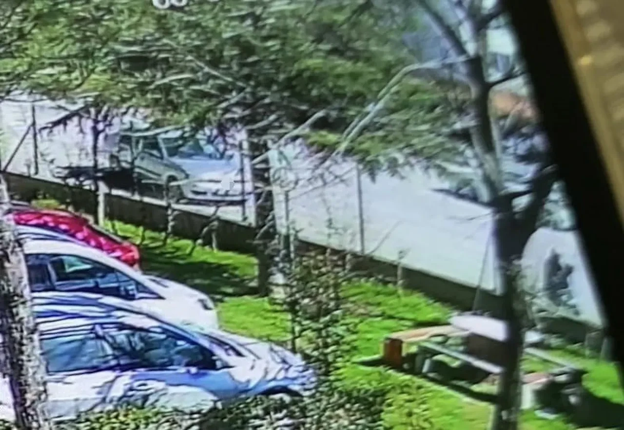 El frenini çekmeden giden şoför tutuklandı: Minik Öykü'yü hayattan kopardı