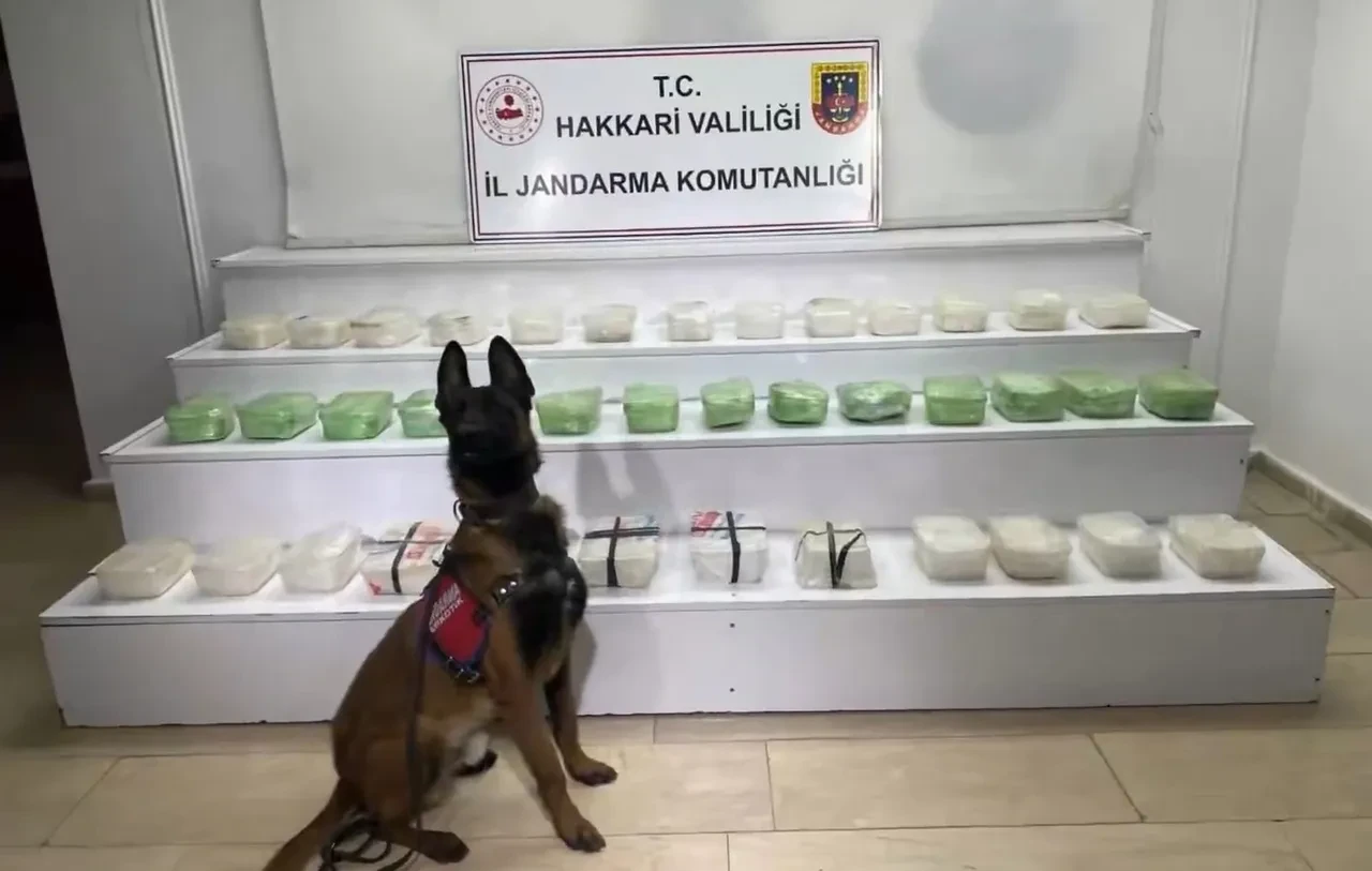 İHA buldu, jandarma tepelerine bindi: Zehir tacirlerine büyük darbe