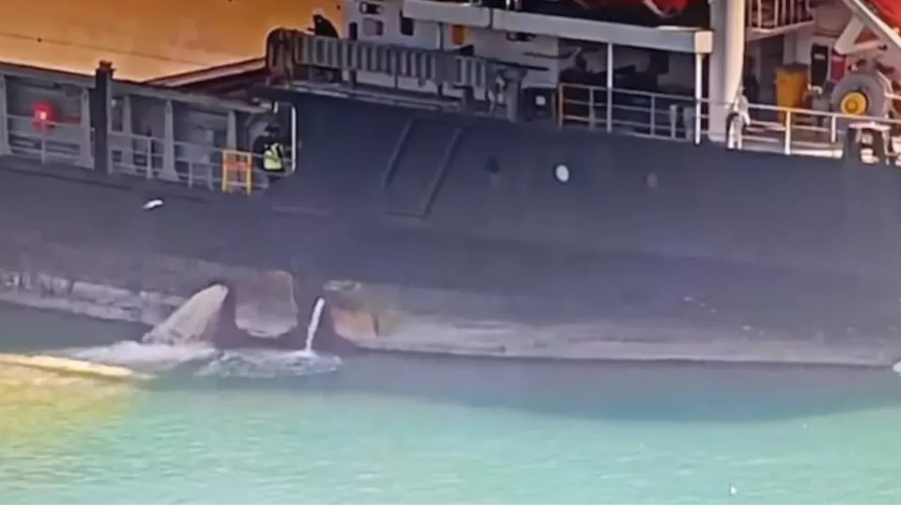 Mersin'de denizi kirleten gemiye 13 milyonluk tokat: EGDS sistemi affetmedi, gemi rıhtıma bağlandı!