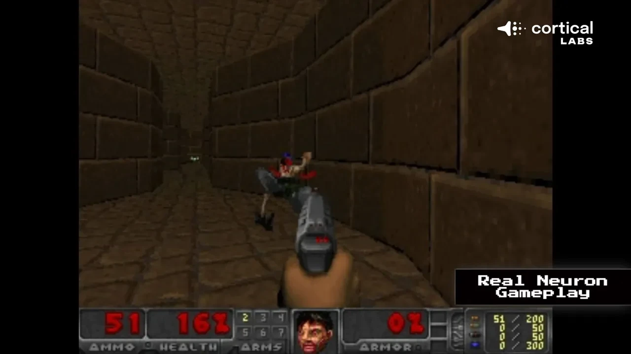 Nasıl çalıştığı bilinmiyor. Biyo-bilgisayar çağı başladı