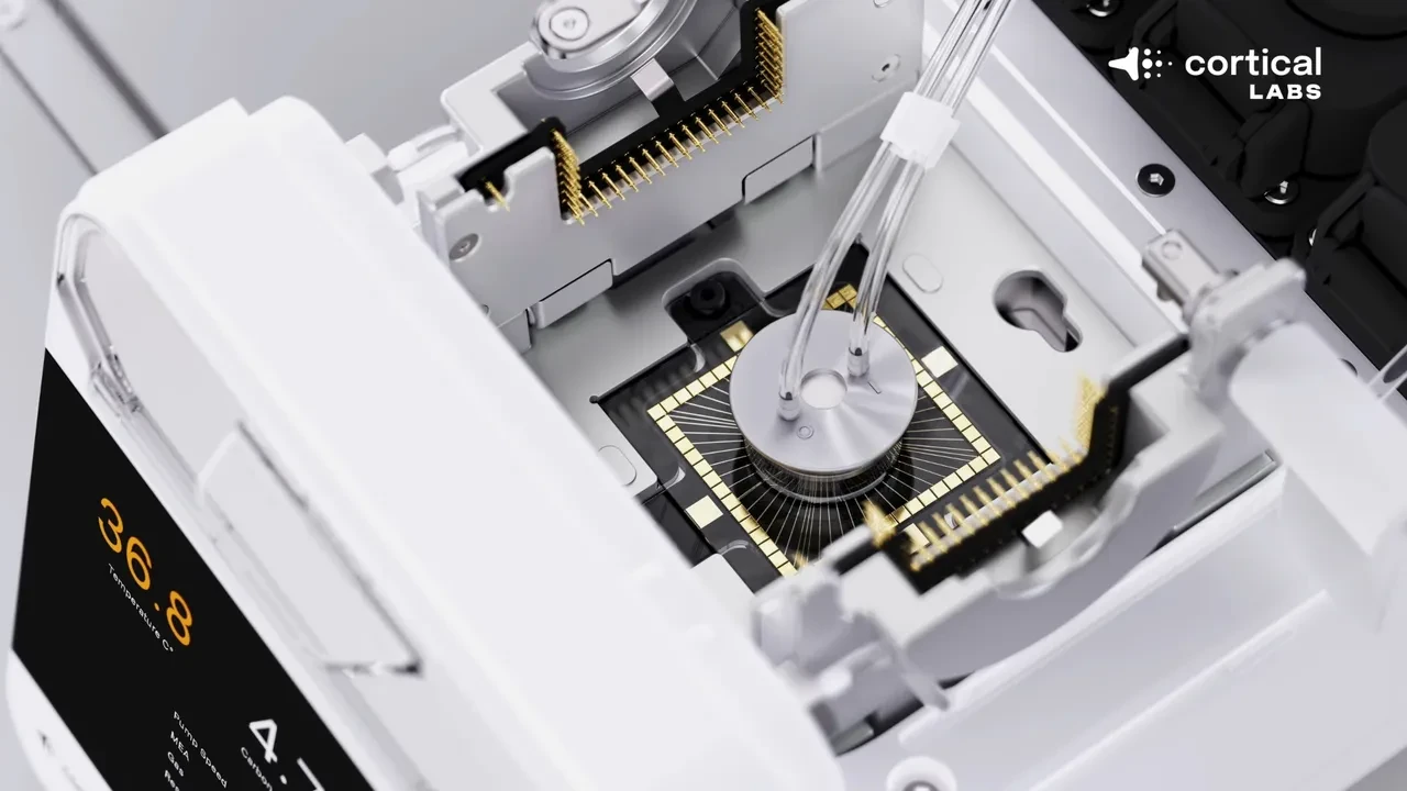 Nasıl çalıştığı bilinmiyor. Biyo-bilgisayar çağı başladı