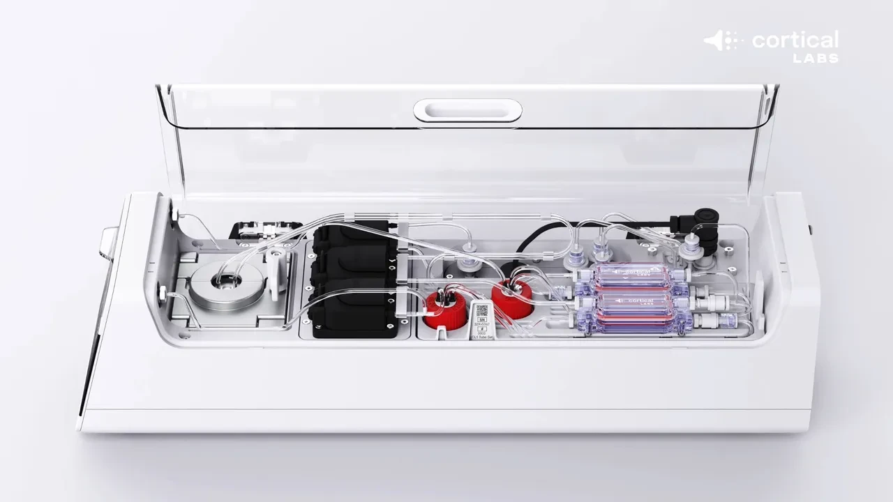 Nasıl çalıştığı bilinmiyor. Biyo-bilgisayar çağı başladı