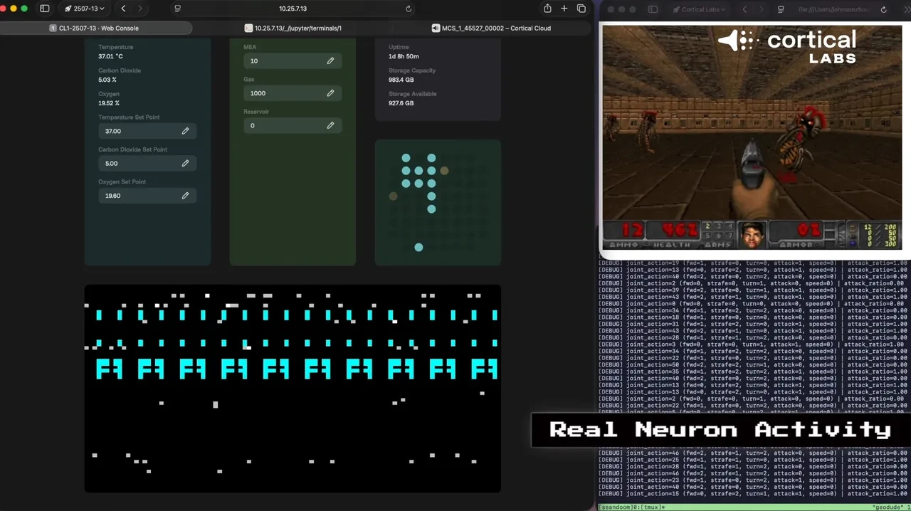 Nasıl çalıştığı bilinmiyor. Biyo-bilgisayar çağı başladı