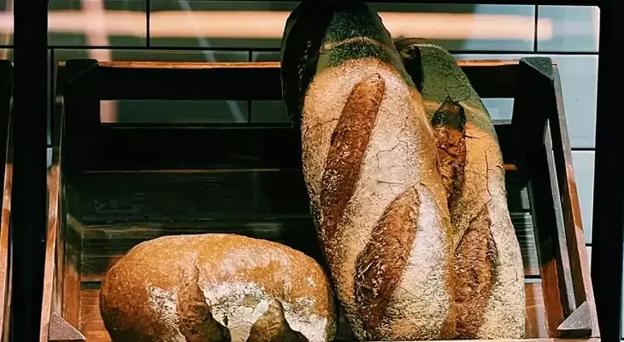 İstanbul’da 200 gram ekmek ne kadar oldu? Zamlı ekmek fiyatları