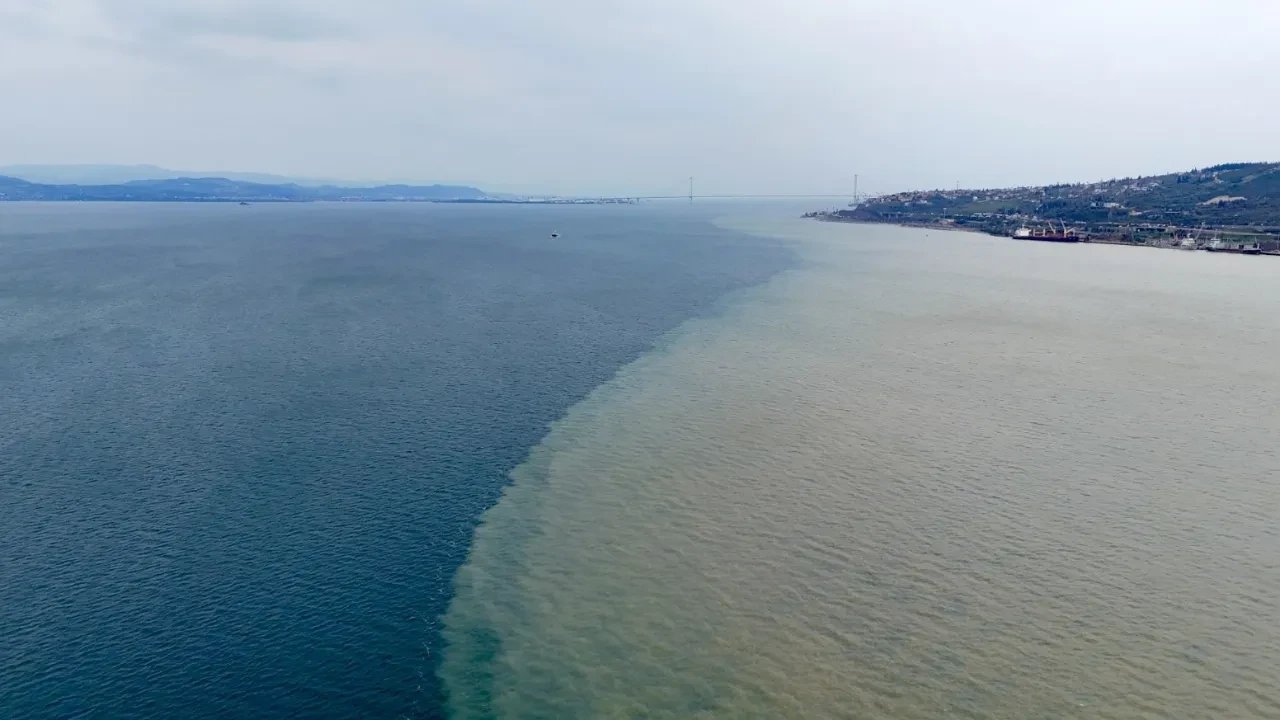 İzmit Körfezi'nin rengi değişti! Denizin rengi kahverengiye döndü