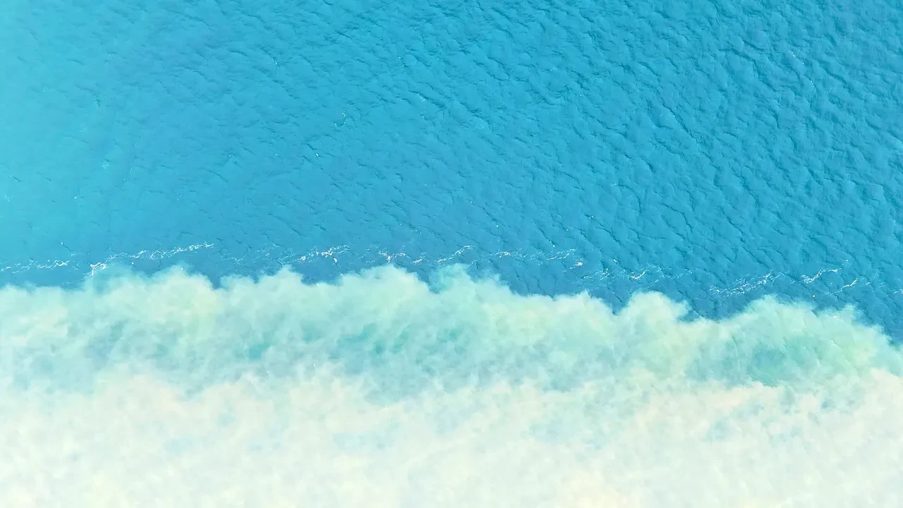 İzmit Körfezi'nin rengi değişti! Denizin rengi kahverengiye döndü