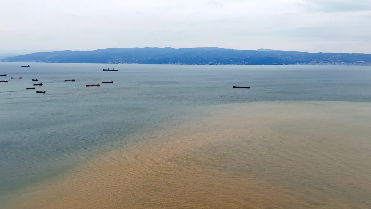 İzmit Körfezi'nin rengi değişti! Denizin rengi kahverengiye döndü