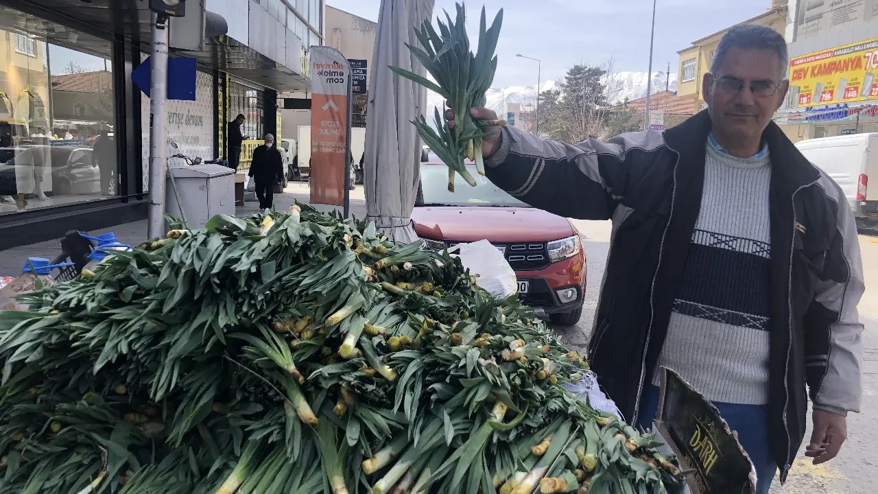 Karlar eridi çiriş otu göründü: Antibiyotik gibi her derde deva